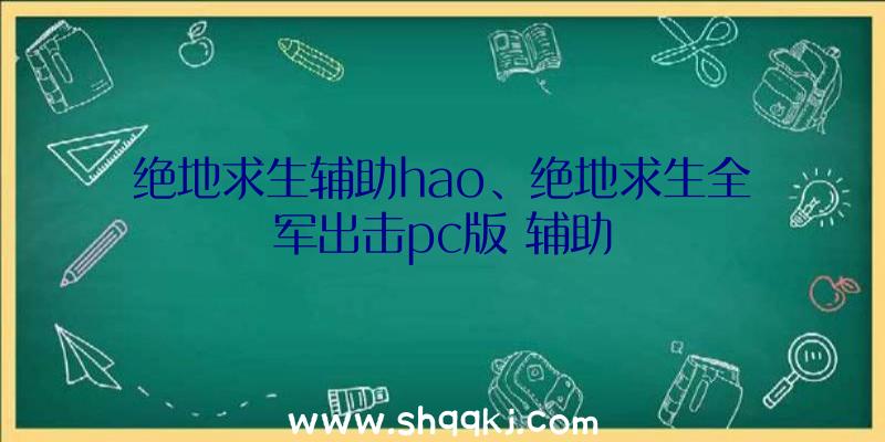 绝地求生辅助hao、绝地求生全军出击pc版